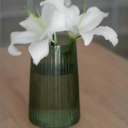 Hanza Tower 22 White Jacussi&sauna&pool&spa Apartament